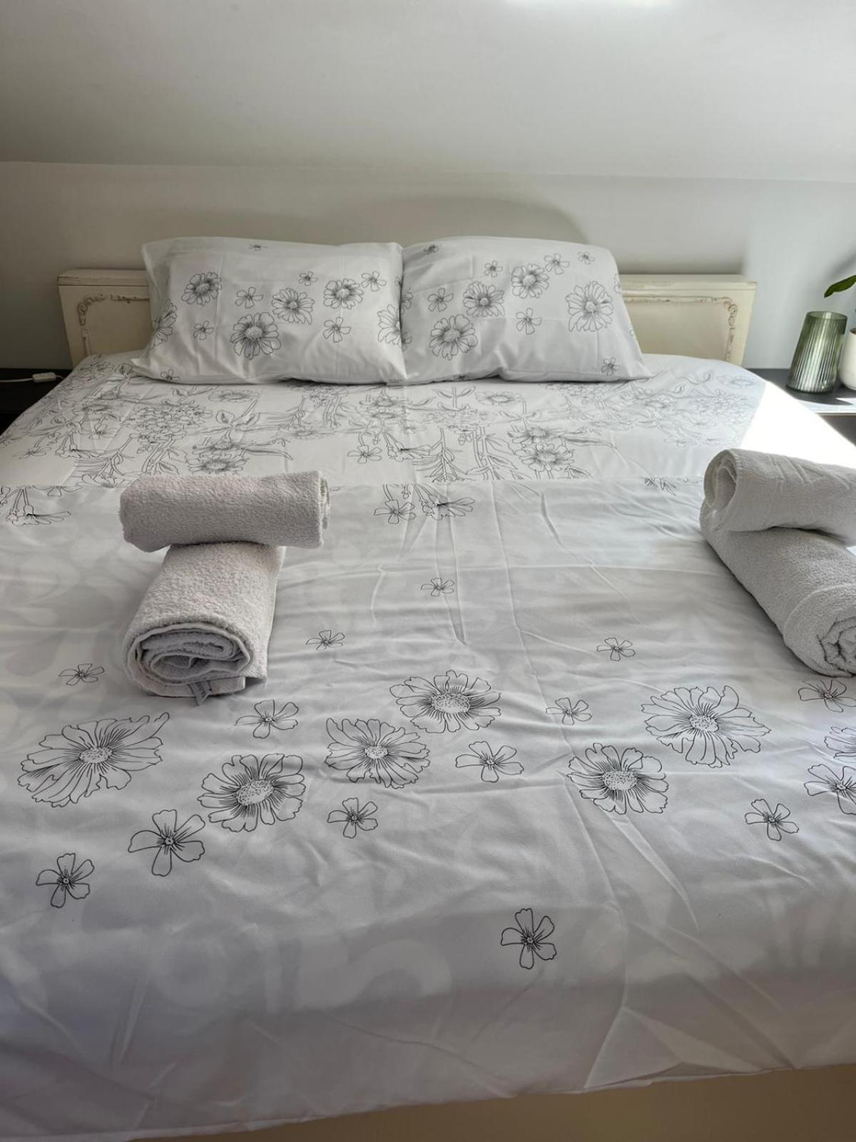 Istanbul Apartment 4 贝尔格莱德 外观 照片